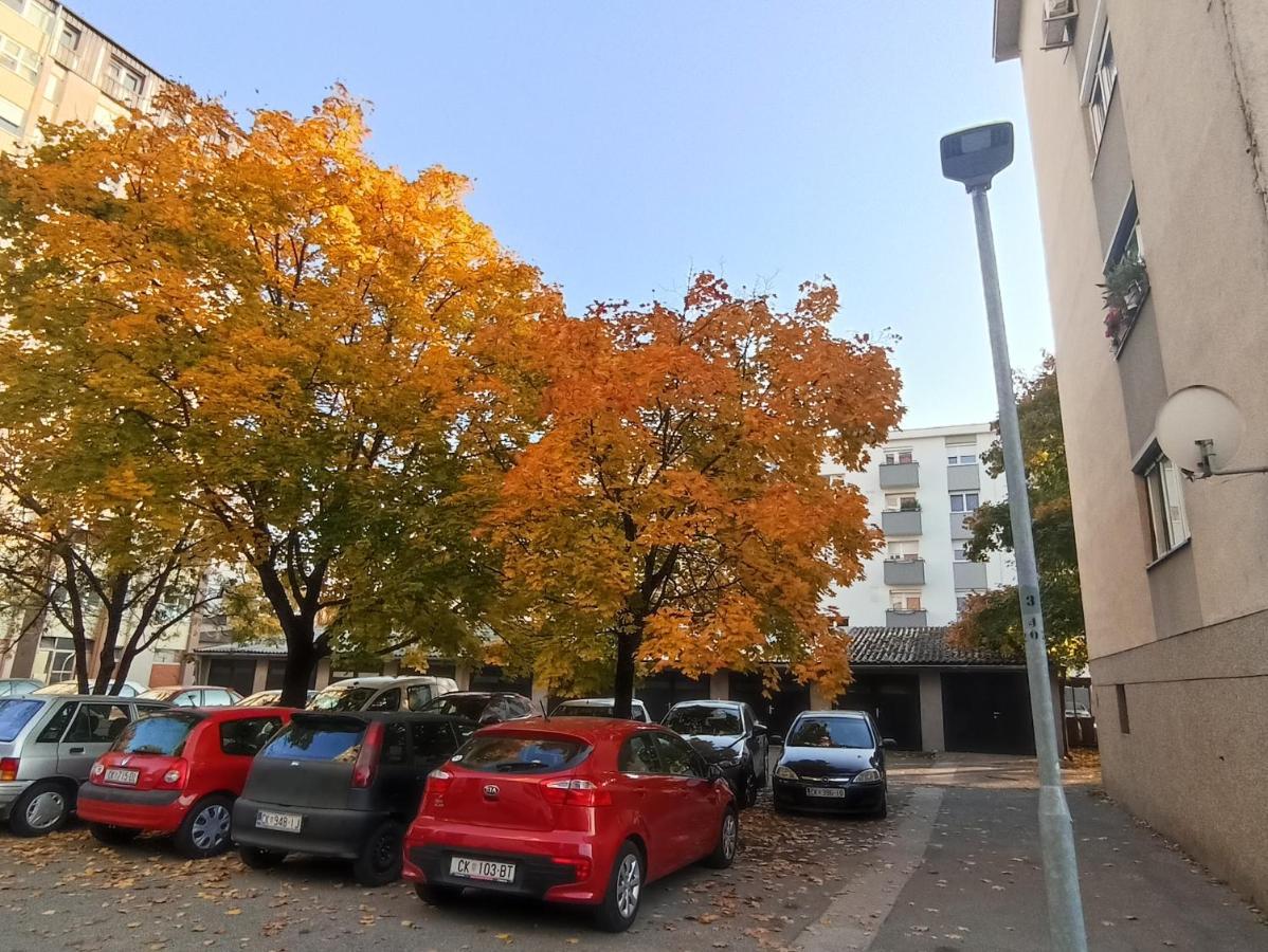 Apartment Close2Park *** Čakovec Eksteriør billede