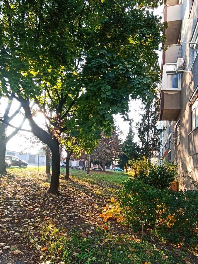 Apartment Close2Park *** Čakovec Eksteriør billede